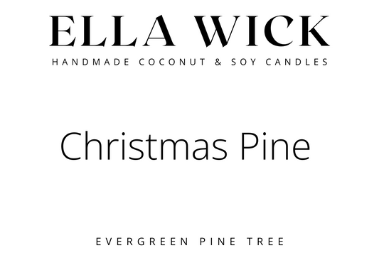 Christmas Pine - Evergreen Pine Tree